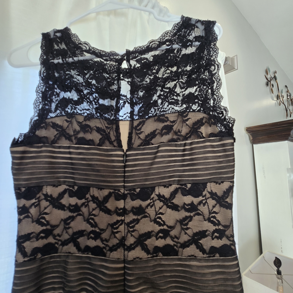 Blu Sage Black and Tan Lace Dress